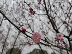 -良渚古城遗址公园