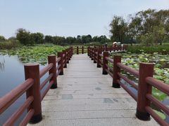 -长兴太湖图影湿地文化园