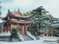 -上海东林寺(金山区)