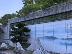 -王借岗森林公园