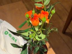 -O'eat Blossom&Pelican(深圳首店)