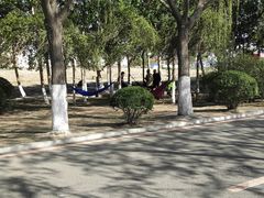 -丁香湖公园