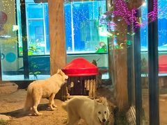 -大连森林动物园