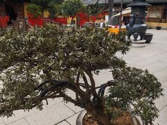 -灵岩山风景区