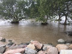 -宝安西湾红树林湿地公园