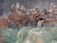 -昆明动物园