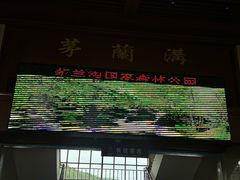 -茅兰沟国家森林公园