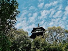 -上海佘山国家森林公园天马山园