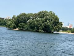 -长白岛森林公园