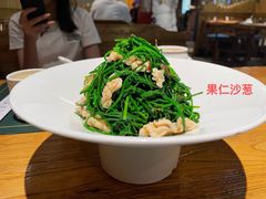 -老阿妈蒙古村·蒙古包·草原文化·歌舞表演(老君堂店)