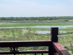 -上海海湾国家森林公园