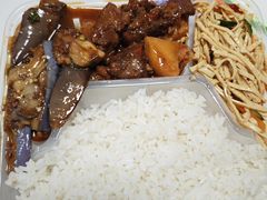 -合肥野生动物园