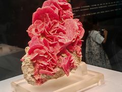 -湖南省地质博物馆