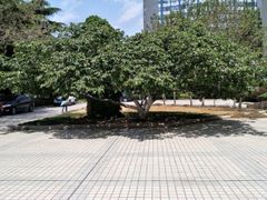 -青岛市图书馆