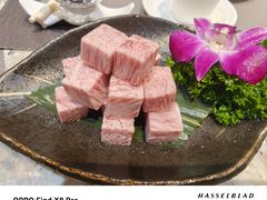 -好彩海鲜火锅饭店(银河百老汇店)