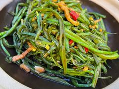 -鸽子窝(宋庄店)
