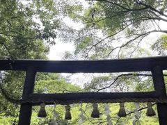 -野宫神社