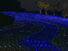 -秀丽东方