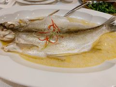 白水鱼-太湖饭店·寄畅轩中餐厅