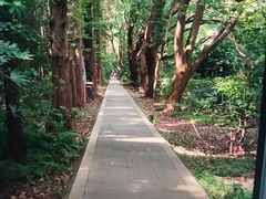 -同里国家湿地公园