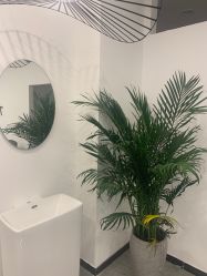 -AYO SALON