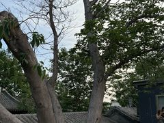-糖房咖啡(南锣鼓巷店)