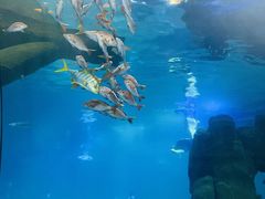 -福州罗源湾海洋世界旅游区