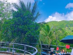 -海南槟榔谷黎苗文化旅游区