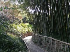 -汇龙潭