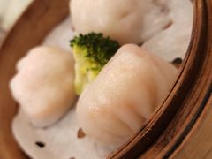 金城虾饺皇-金城大酒店-中餐厅(汾江中路店)