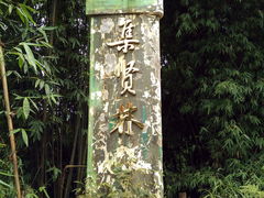 -沐川竹海旅游景区