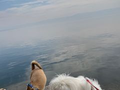 -抚仙湖禄充风景区