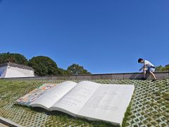 -观潮胜地公园