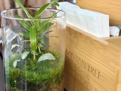 -丽江悦榕庄酒店-明月·雪山庭院餐厅