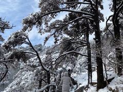 -黄山风景区