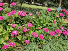 -南通博物苑-崇川人民公园