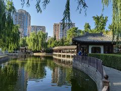 -团结湖公园