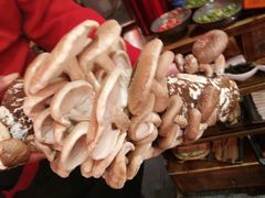 -谭鸭血老火锅(漳州路店)