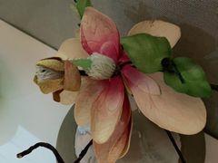 -见康道莱•足浴按摩•艾灸•SPA(友谊店)