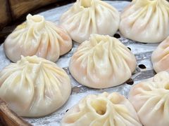 -莱莱小笼·乔艾