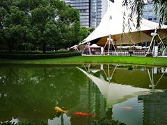 -陆家嘴中心绿地