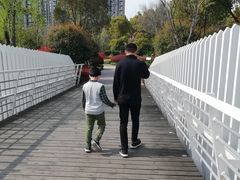 -南翔镇银翔湖公园