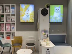 -关爱宠物医院·猫科中心·消化科(滨湖万达分院)