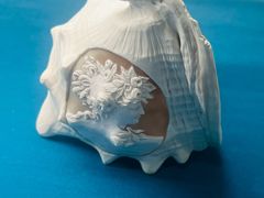 -青岛贝壳博物馆