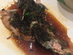 -重庆富力艾美酒店