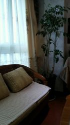 点击看大图 -欧婼妍