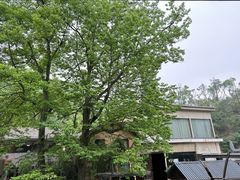 -天怡·鱼工厂(梅溪湖店)