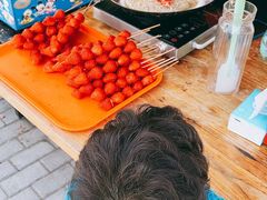 -前小桔亲子创意农场·草莓采摘·露营烧烤