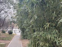 -丰台花园
