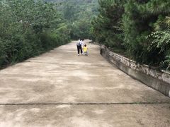 -阳台山自然风景区